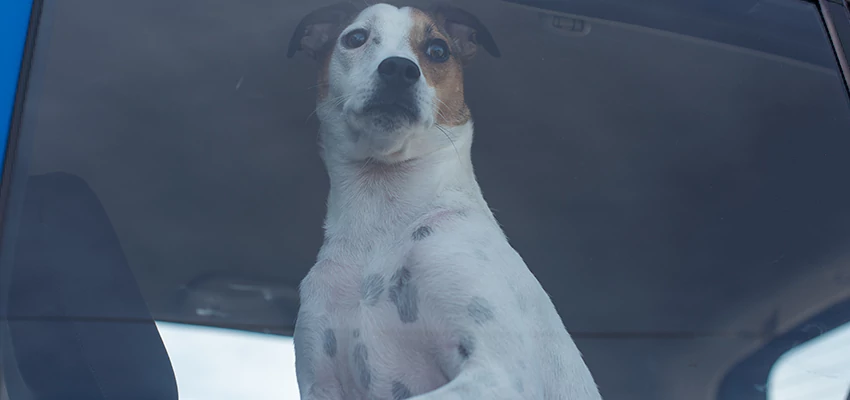 Car Lockout Solutions in Westlake Village, California